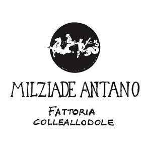 Milziade Antano Fattoria Colleallodole | Bevagna